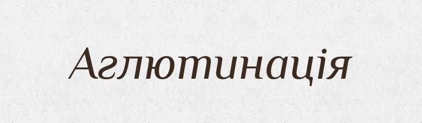 Аглютинація — Тлумачний словник української мови