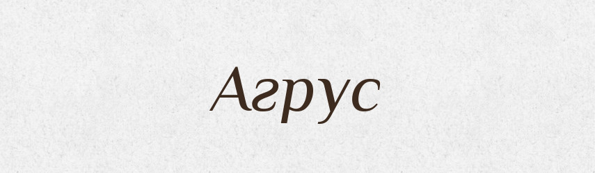 Агрус — Тлумачний словник української мови