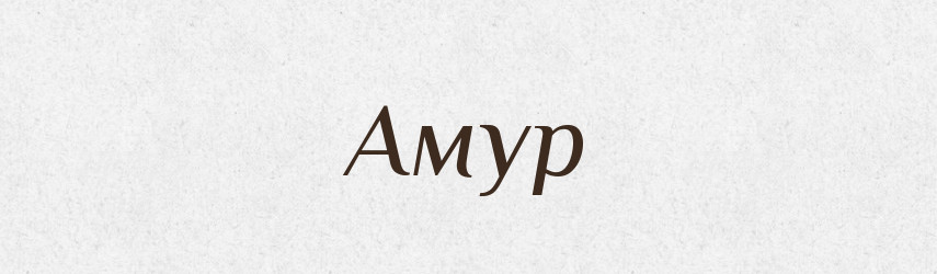 Амур — Тлумачний словник української мови