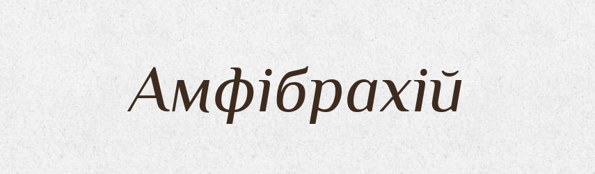 Амфібрахій — Тлумачний словник української мови