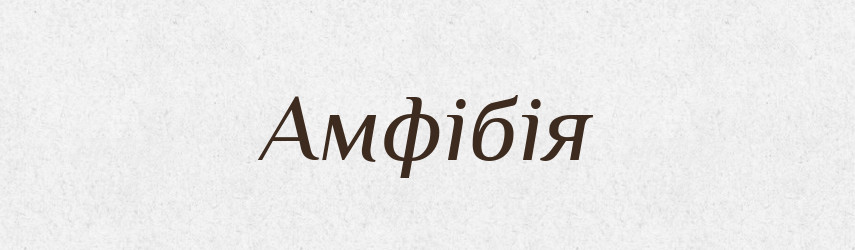 Амфібія — Тлумачний словник української мови