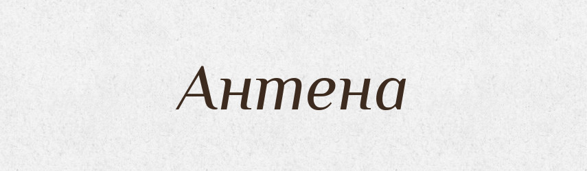 Антена — Тлумачний словник української мови