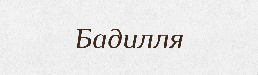 Бадилля — Тлумачний словник української мови