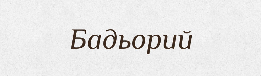 Бадьорий — Тлумачний словник української мови