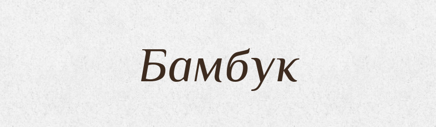 Бамбук — Тлумачний словник української мови