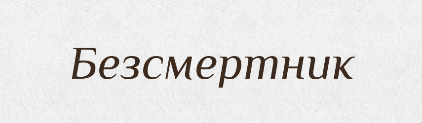 Безсмертник — Тлумачний словник української мови
