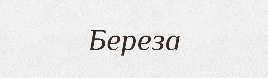 Береза — Тлумачний словник української мови