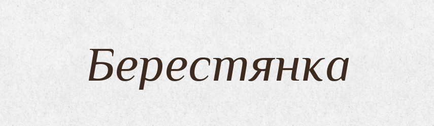 Берестянка — Тлумачний словник української мови