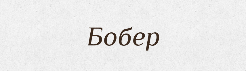 Бобер — Тлумачний словник української мови