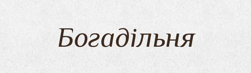 Богадільня — Тлумачний словник української мови