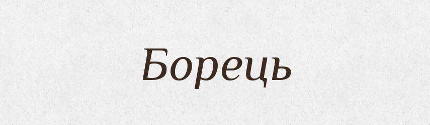 Борець — Тлумачний словник української мови