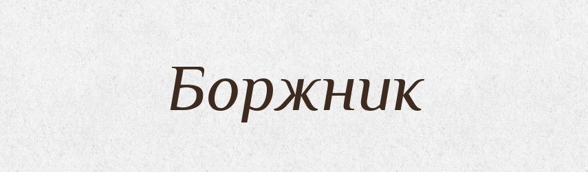 Боржник — Тлумачний словник української мови