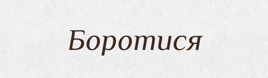Боротися — Тлумачний словник української мови