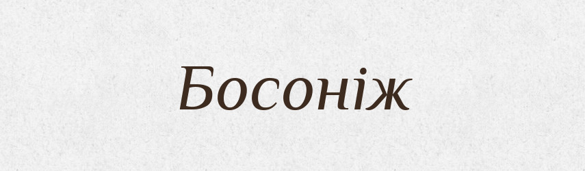 Босоніж — Тлумачний словник української мови