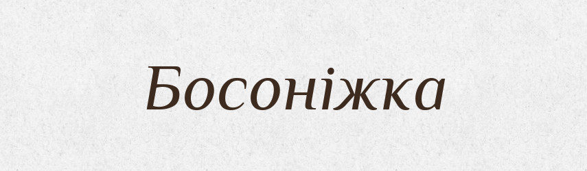Босоніжка — Тлумачний словник української мови