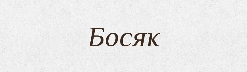 Босяк — Тлумачний словник української мови