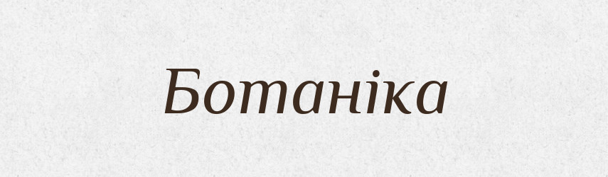 Ботаніка — Тлумачний словник української мови