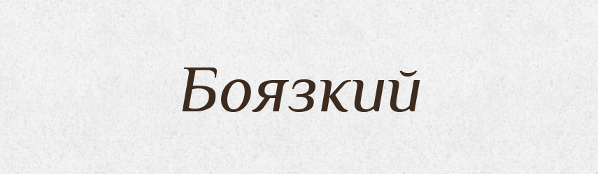 Боязкий — Тлумачний словник української мови