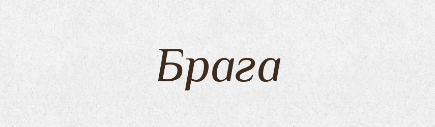 Брага — Тлумачний словник української мови