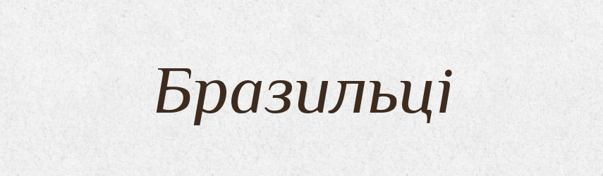 Бразильці — Тлумачний словник української мови