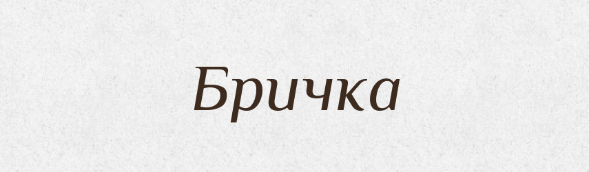 Бричка — Тлумачний словник української мови
