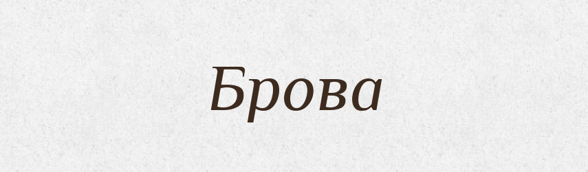 Брова — Тлумачний словник української мови