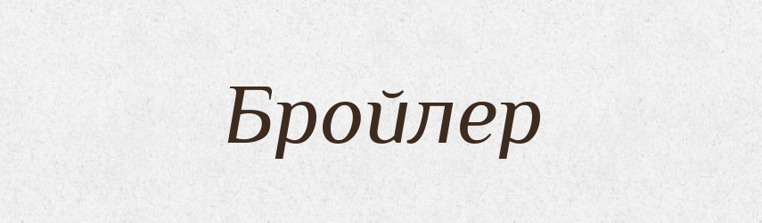 Бройлер — Тлумачний словник української мови
