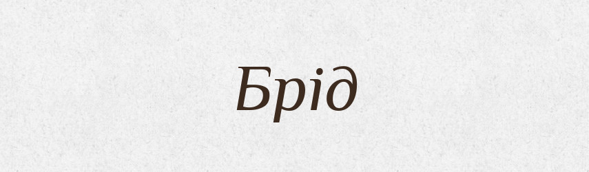Брід — Тлумачний словник української мови