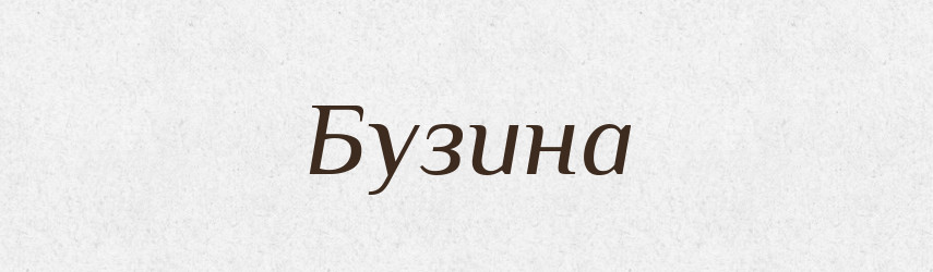 Бузина — Тлумачний словник української мови