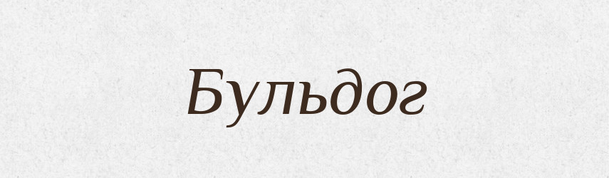 Бульдог — Тлумачний словник української мови