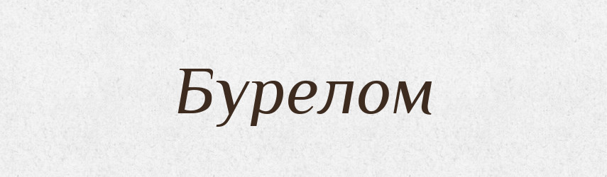 Бурелом — Тлумачний словник української мови