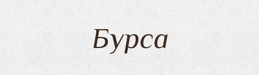 Бурса — Тлумачний словник української мови
