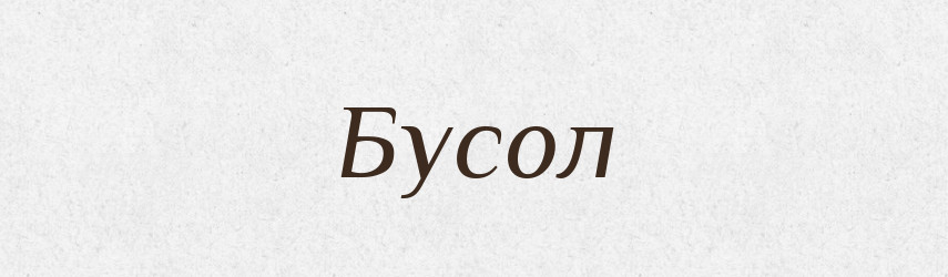 Бусол — Тлумачний словник української мови
