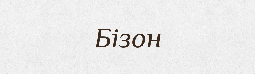 Бізон — Тлумачний словник української мови
