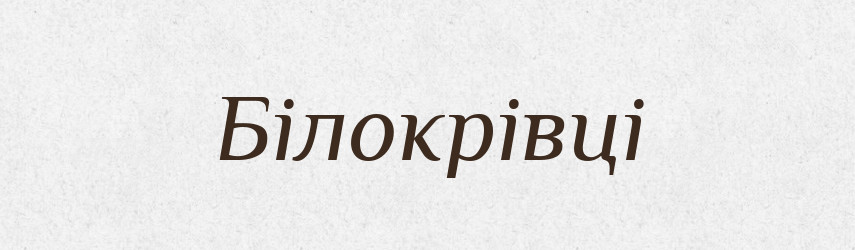Білокрівці — Тлумачний словник української мови