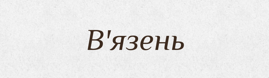 В'язень — Тлумачний словник української мови