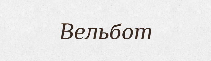 Вельбот — Тлумачний словник української мови