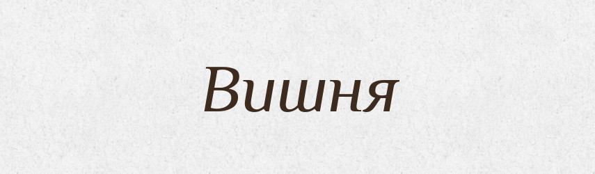 Вишня — Тлумачний словник української мови