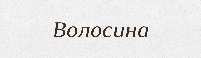 Волосина — Тлумачний словник української мови