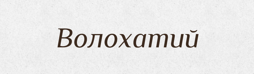 Волохатий — Тлумачний словник української мови