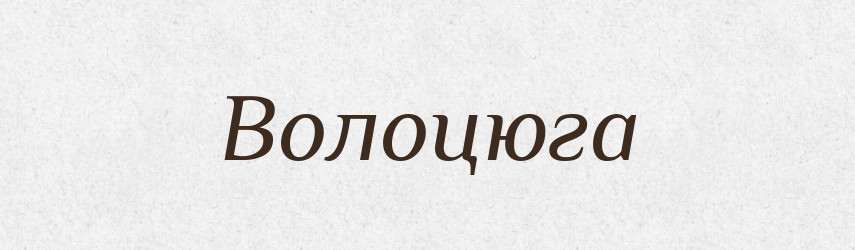 Волоцюга — Тлумачний словник української мови