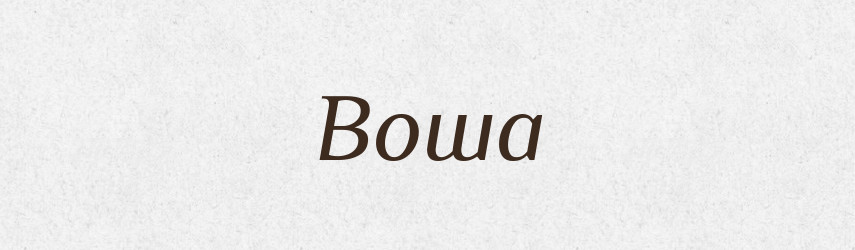 Воша — Тлумачний словник української мови