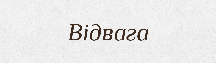 Відвага — Тлумачний словник української мови