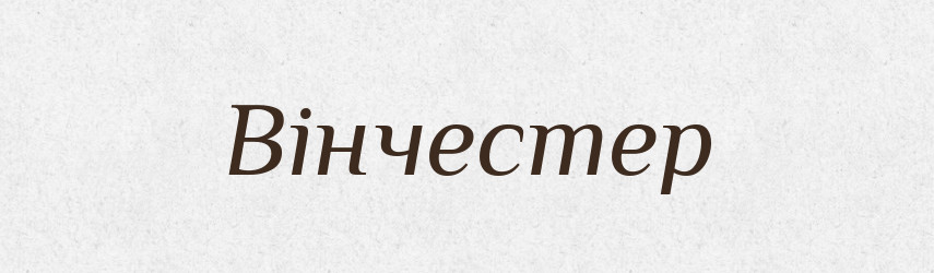 Вінчестер — Тлумачний словник української мови