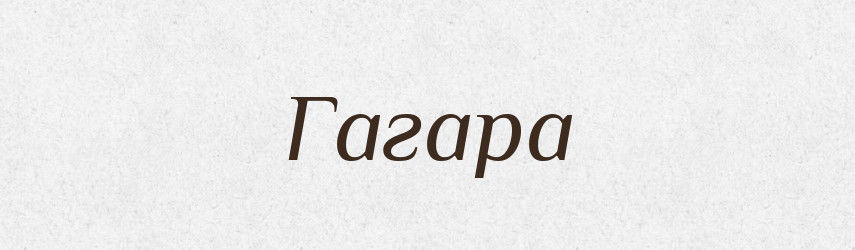 Гагара — Тлумачний словник української мови