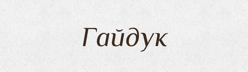 Гайдук — Тлумачний словник української мови