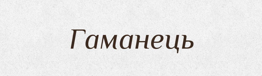 Гаманець — Тлумачний словник української мови