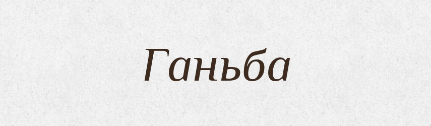 Ганьба — Тлумачний словник української мови