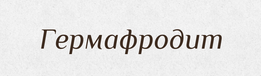 Гермафродит — Тлумачний словник української мови