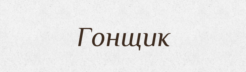 Гонщик — Тлумачний словник української мови